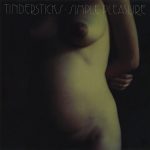 Tindersticks ‎– Simple Pleasure