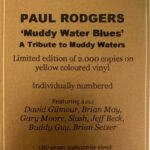 Paul Rodgers ‎– Muddy Water Blues: A Tribute to Muddy Waters (Limited Yellow)