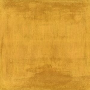 The Steams – Vile Wonders