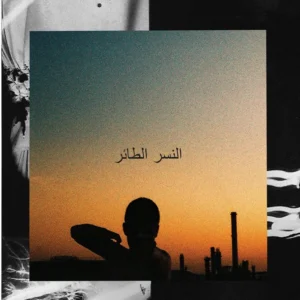 Stolen Mic – Altair (Dark Version – Orange Vinyl)