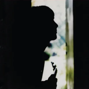 Paul Weller – Wild Wood