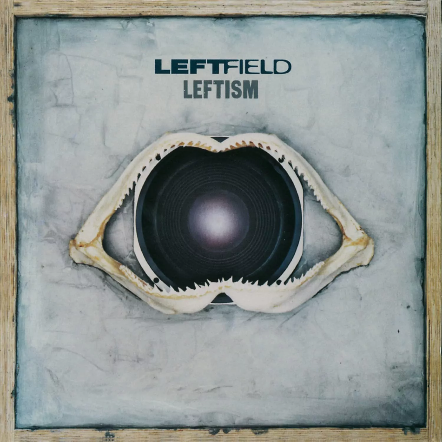 Leftfield – Leftism